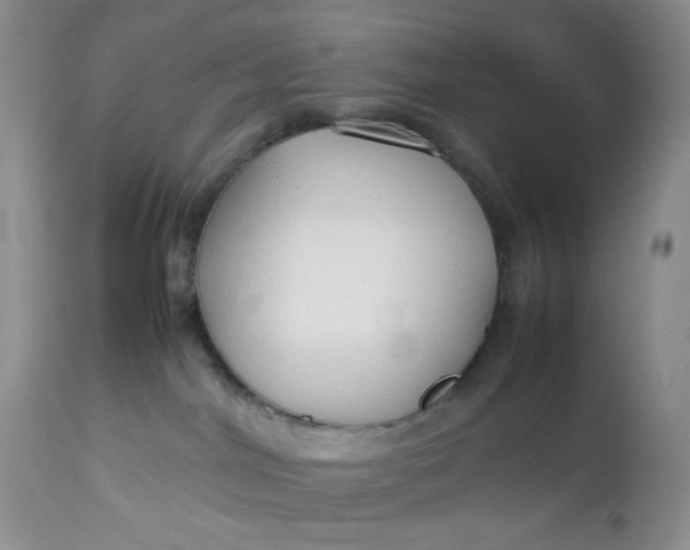 X0000112750044200909101550