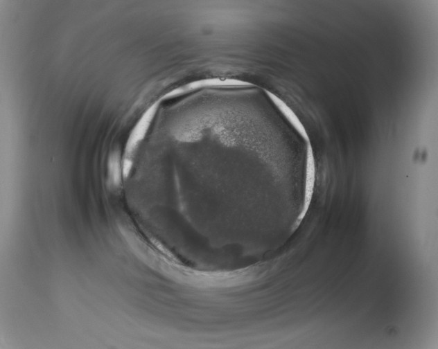 X0000112750046200909101550