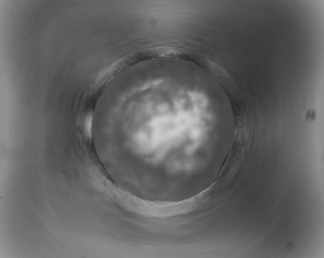 X0000112750047200909101550