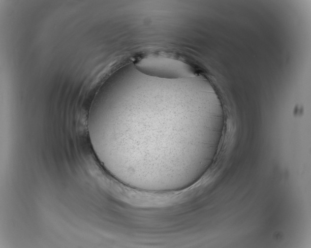 X0000112750048200909101550