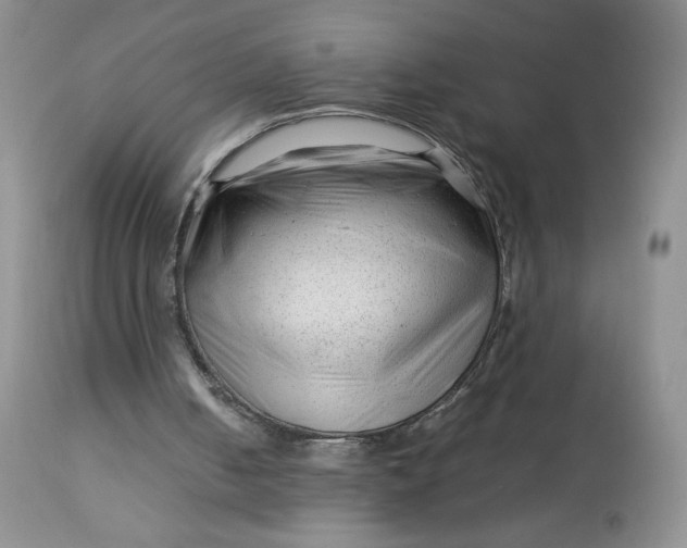 X0000112750050200909101549