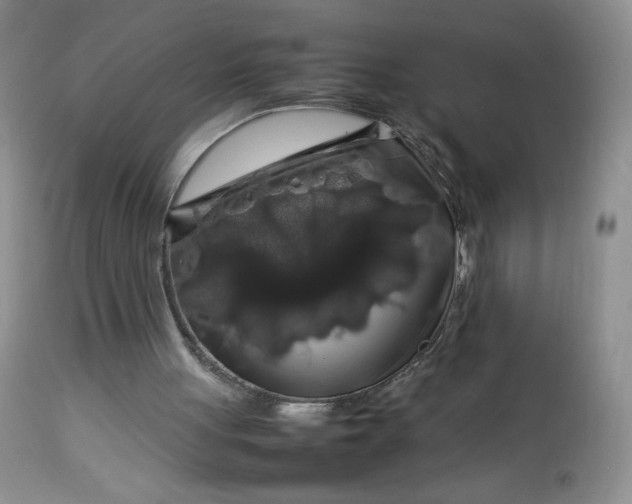 X0000112750051200909101549