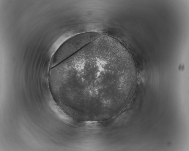 X0000112750052200909101549