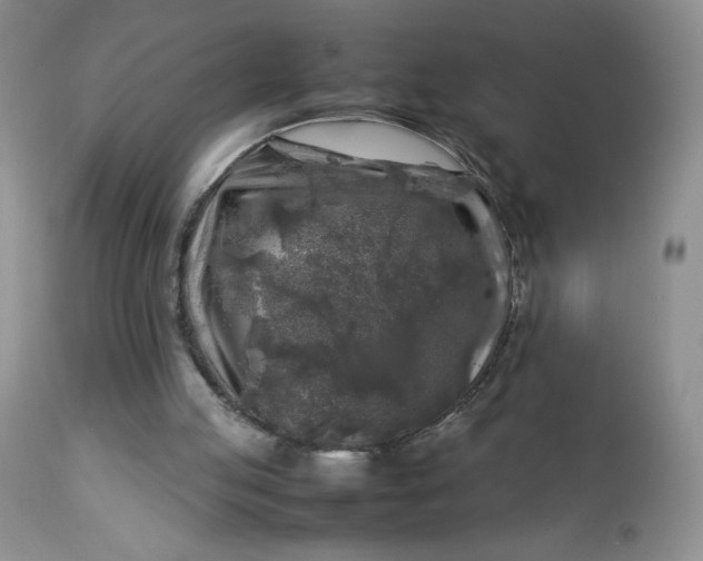 X0000112750053200909101549