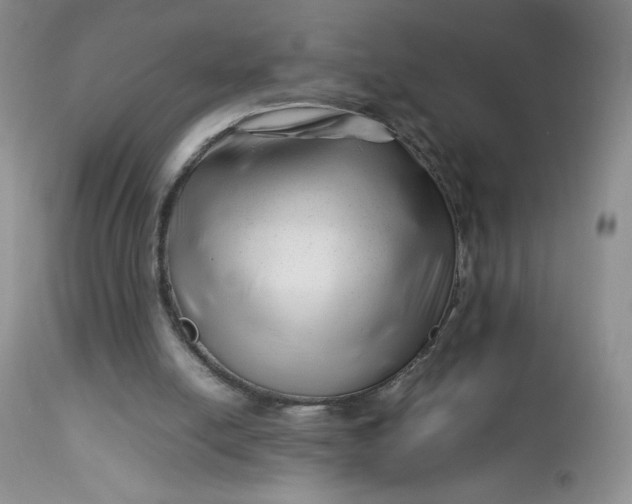 X0000112750054200909101549