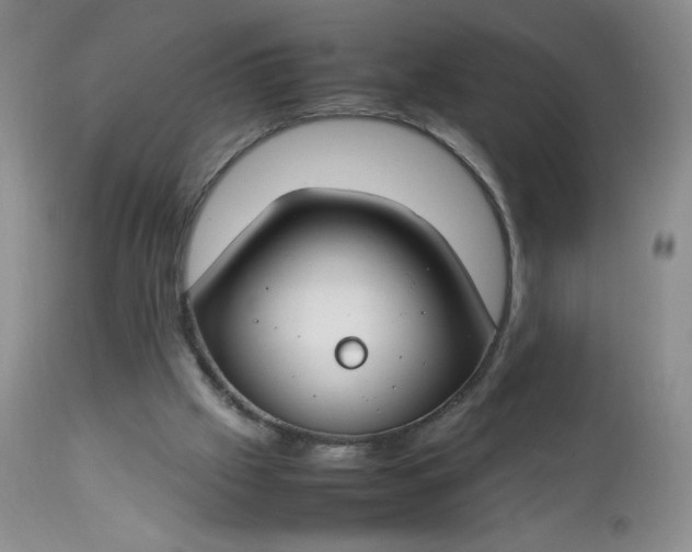 X0000112750057200909101549