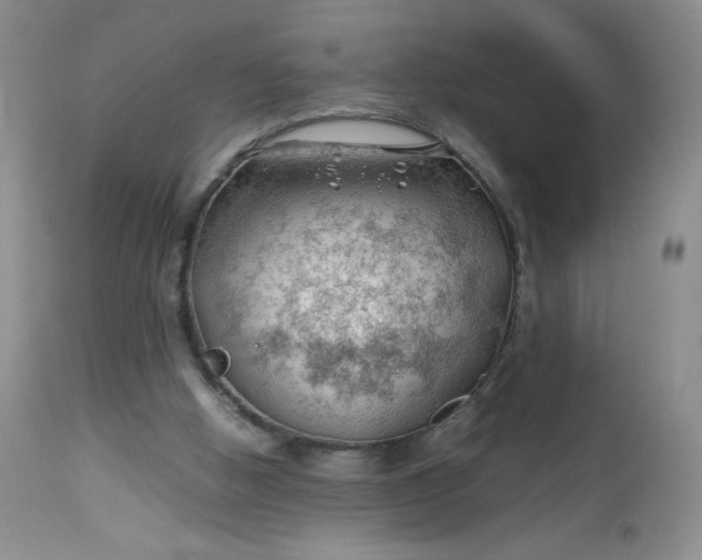 X0000112750058200909101550