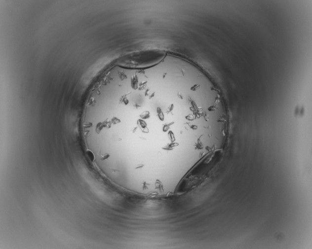 X0000112750060200909101550