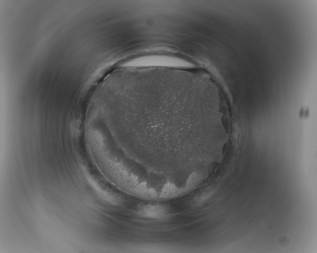 X0000112750063200909101550