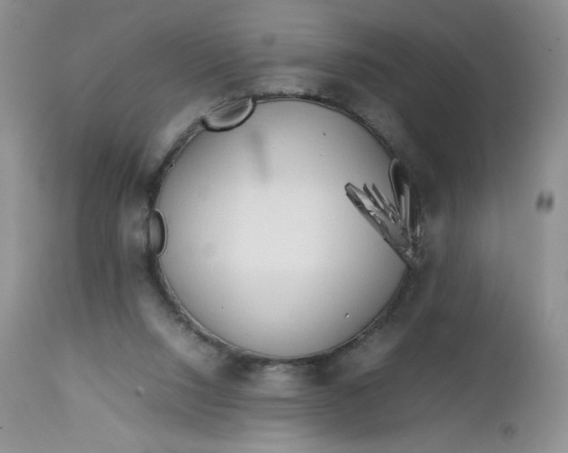 X0000112750064200909101550