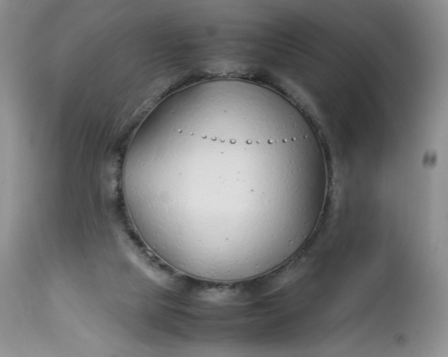 X0000112750065200909101550