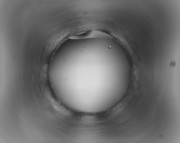 X0000112750066200909101550