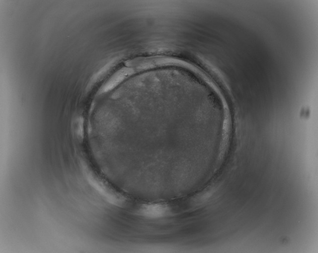 X0000112750067200909101550