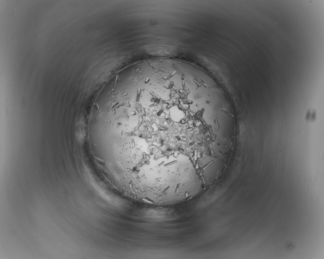 X0000112750069200909101550