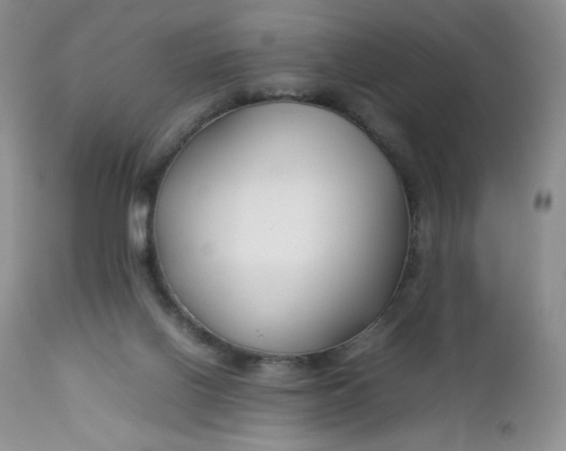 X0000112750070200909101550