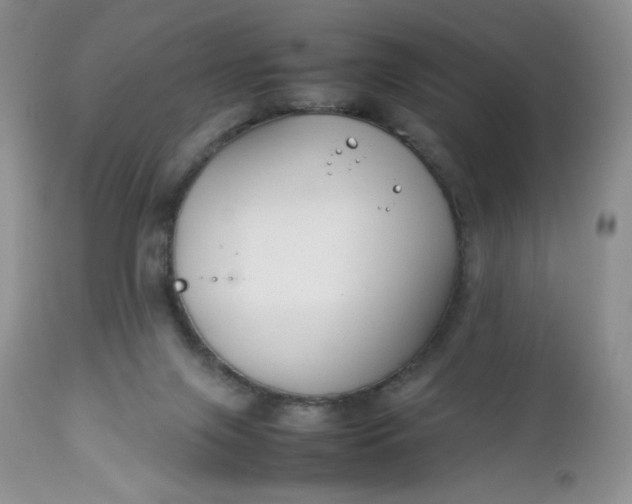 X0000112750071200909101550