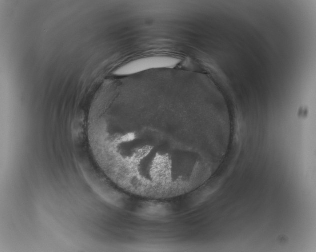 X0000112750073200909101550