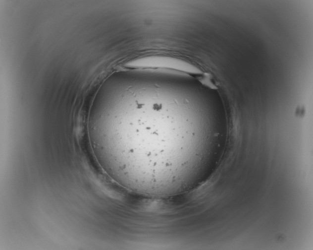 X0000112750074200909101550