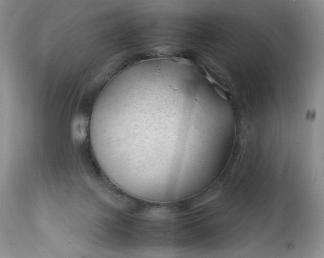 X0000112750075200909101550