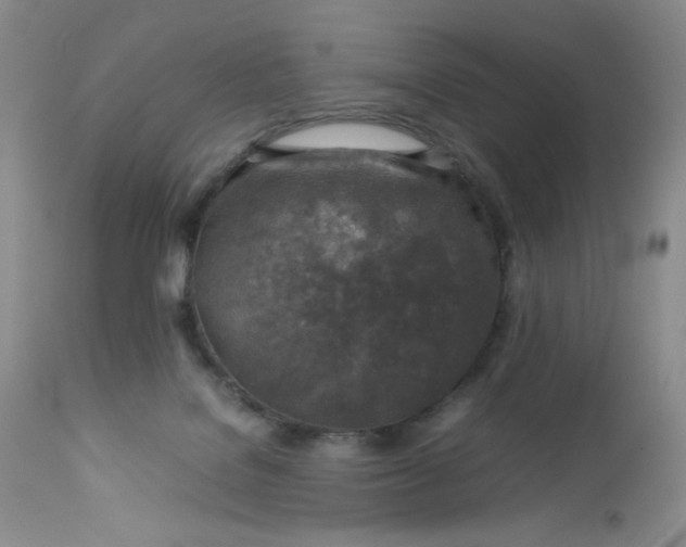 X0000112750076200909101550