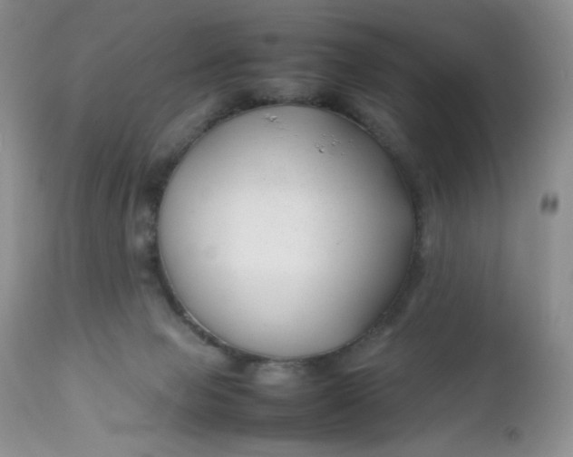 X0000112750077200909101550