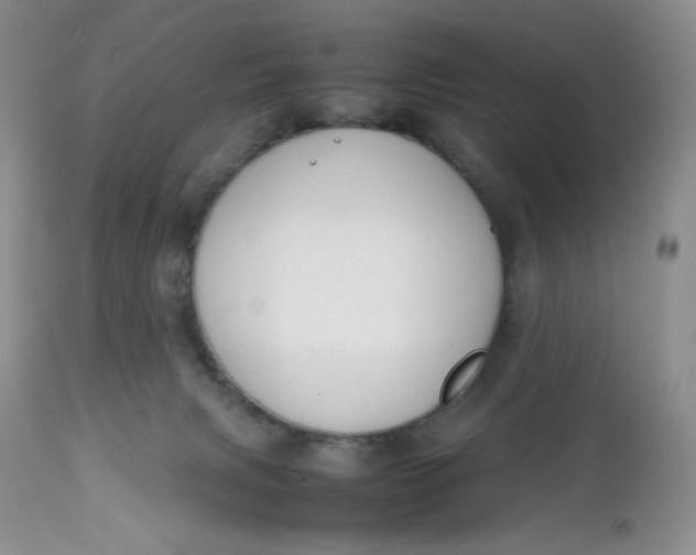 X0000112750079200909101550