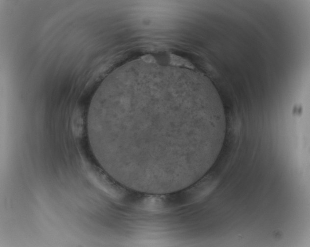 X0000112750080200909101550