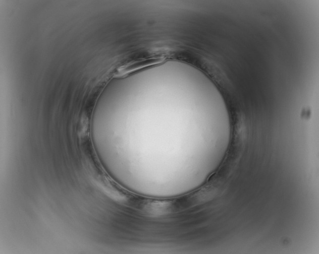 X0000112750081200909101550