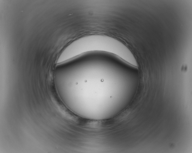 X0000112750084200909101550