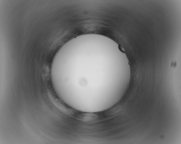 X0000112750087200909101550