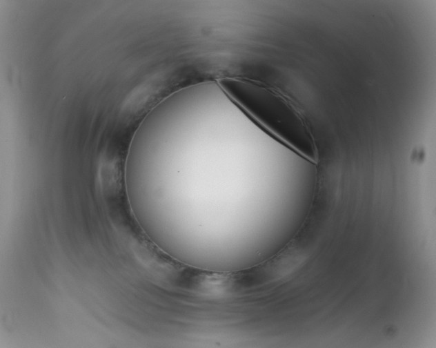 X0000112750088200909101550