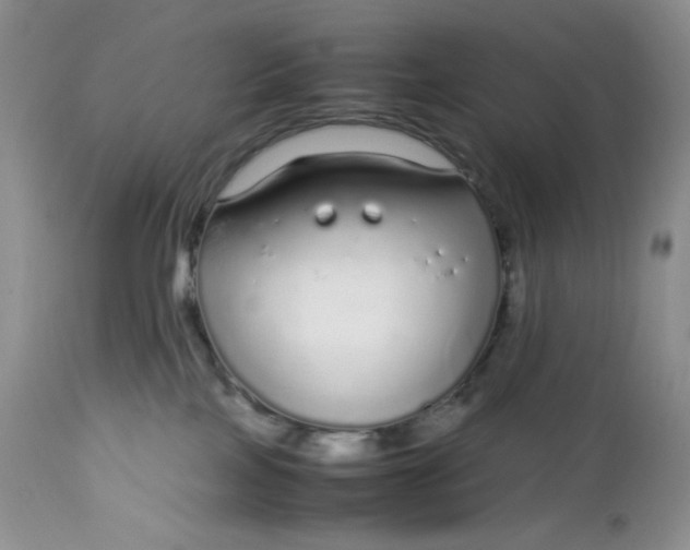 X0000112750089200909101550