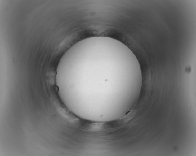 X0000112750090200909101550