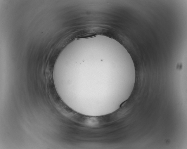 X0000112750091200909101550