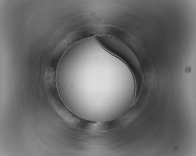 X0000112750092200909101550