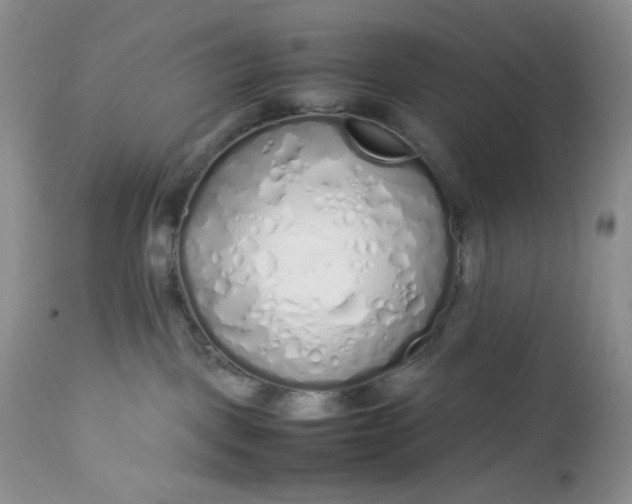 X0000112750093200909101550