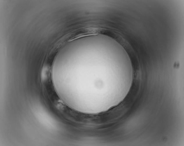 X0000112750095200909101550