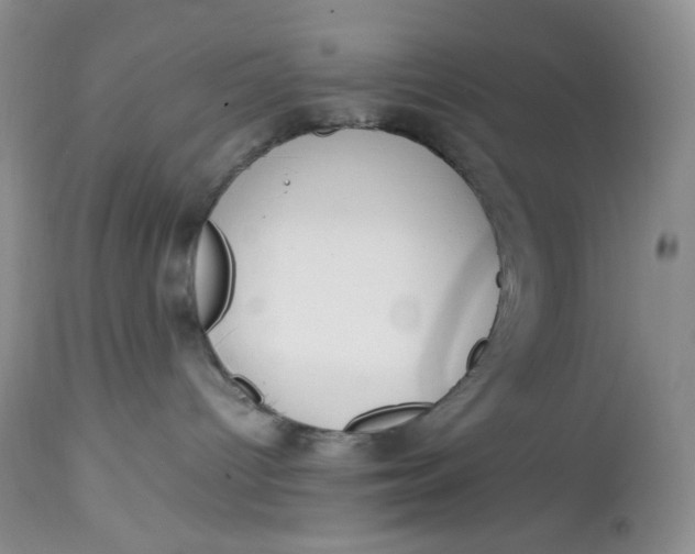 X0000112750096200909101550