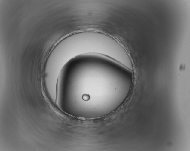 X0000112750097200909101549