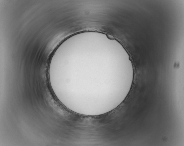 X0000112750098200909101549