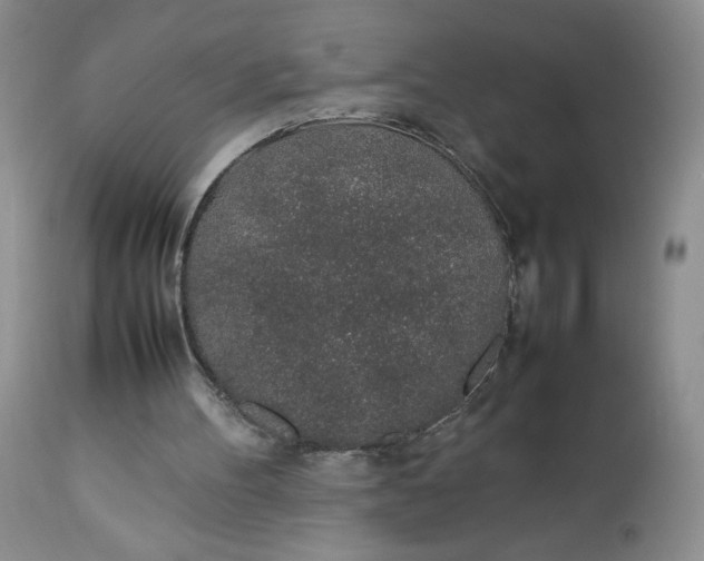 X0000112750100200909101549