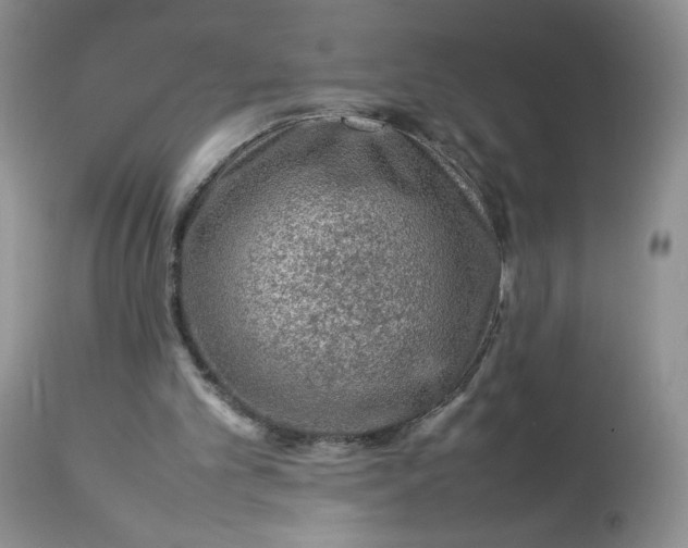 X0000112750101200909101549