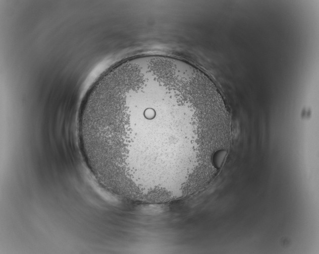 X0000112750102200909101549