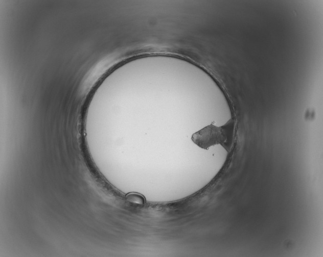 X0000112750103200909101549