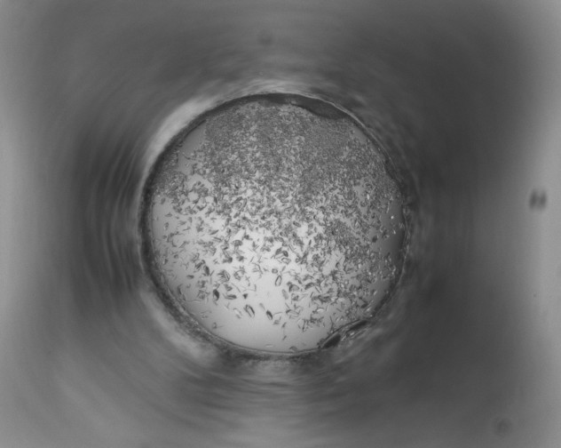 X0000112750104200909101549