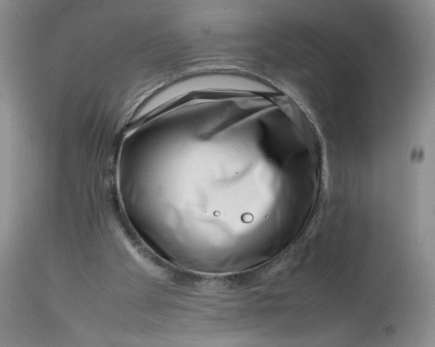 X0000112750105200909101549