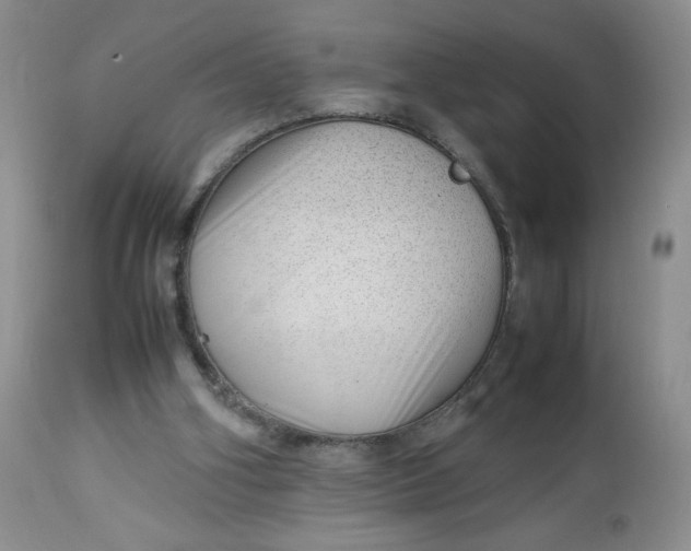 X0000112750106200909101549