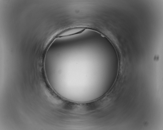 X0000112750107200909101549