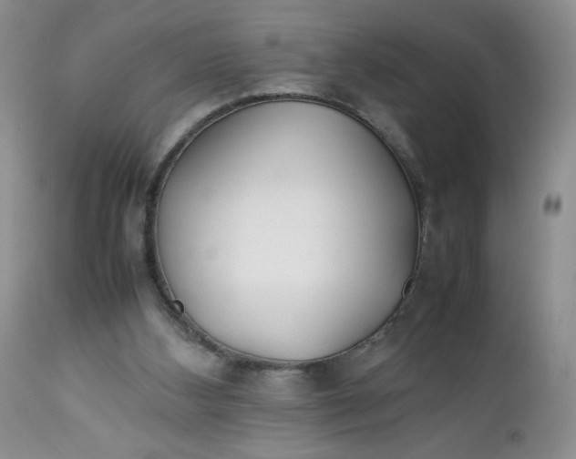 X0000112750108200909101549