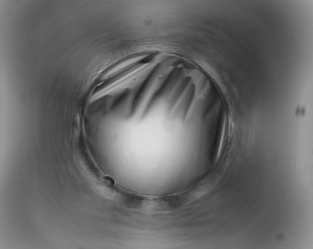 X0000112750109200909101549